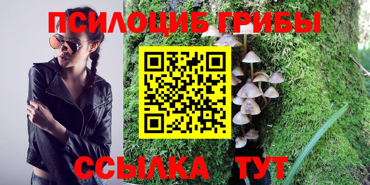 Псилоцибиновые грибы GOLDEN TEACHER  Вход с VPN  Ухта 