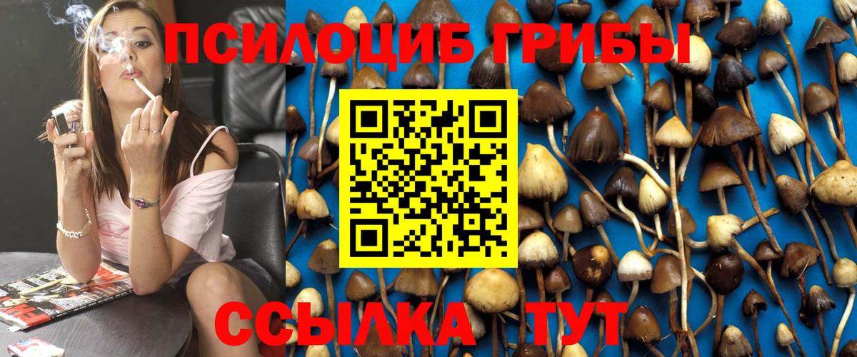Псилоцибиновые грибы Psilocybine cubensis Ухта